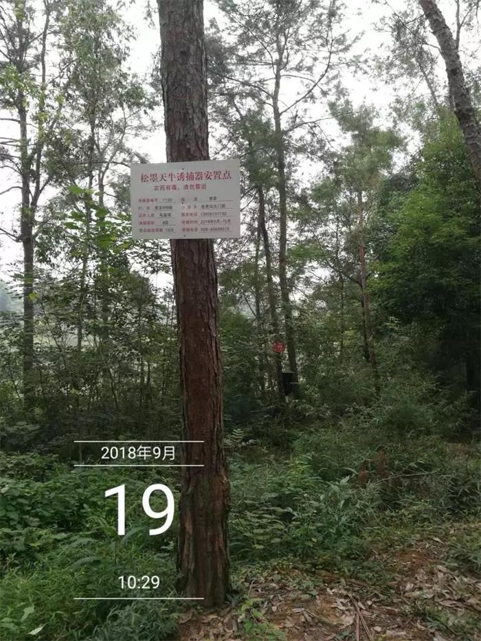 11 诱捕安设点.jpg